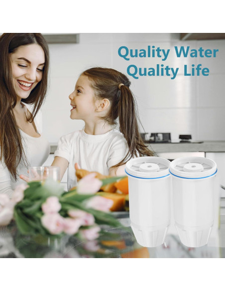 Filtros de Agua Cobectal para Jarras y Dispensadores - Paquete de 4 Filtros de Agua Cobectal para Jarras y Dispensadores - Paquete de 4