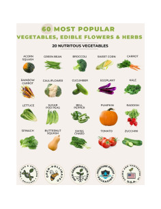 Kit de Semillas Medicinales Tactiko - 60 Variedades No Transgénicas 2