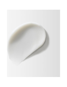 Acondicionador Equilibrante Moroccanoil 250 ml para Cuero Cabelludo 2