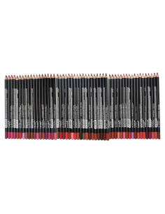 54 Lápices Delineador de Labios NABI Professional Makeup