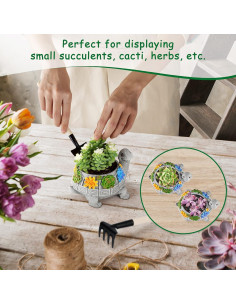 Maceta Tortuga LESES con Drenaje para Suculentas 14x11 cm 2