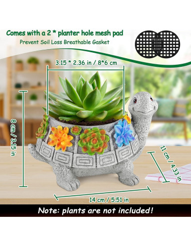 Maceta Tortuga LESES con Drenaje para Suculentas 14x11 cm