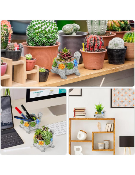 Maceta Tortuga LESES con Drenaje para Suculentas 14x11 cm