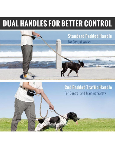 Correa Retráctil Bungee Plutus para Perros Medianos y Grandes