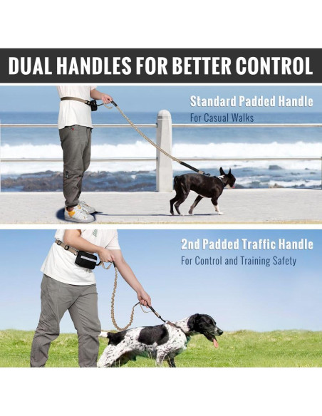 Correa Retráctil Bungee Plutus para Perros Medianos y Grandes Correa Retráctil Bungee Plutus para Perros Medianos y Grandes