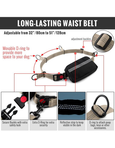 Correa Retráctil Bungee Plutus para Perros Medianos y Grandes