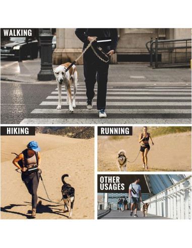 Correa Retráctil Bungee Plutus para Perros Medianos y Grandes