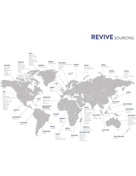 Kit de 3 Aceites Esenciales REVIVE - Lavanda, Limón, Menta 10ml