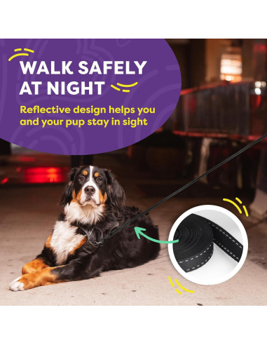 Correa Retráctil para Perros Hertzko 4.88 m Nylon 50 kg