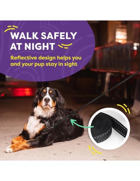 Correa Retráctil para Perros Hertzko 4.88 m Nylon 50 kg