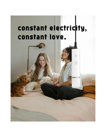 Cargador USB Veeconn T4 para Cortadoras de Perros 1m + Cepillo