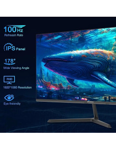 Monitor SANSUI 24" IPS FHD 100Hz Montaje VESA HDMI 2