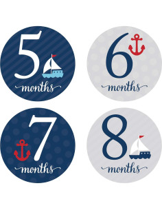 Etiquetas de Hitos de Embarazo Andaz Press 1 a 16 meses 2