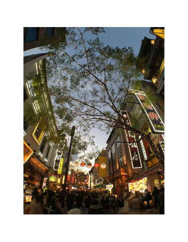 Lente Gran Angular 0.4x Kenko REAL PRO para Móviles y Tablets