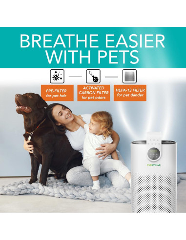 Purificador de Aire HEPA-13 PUREVOLVE H250 para Habitaciones Grandes