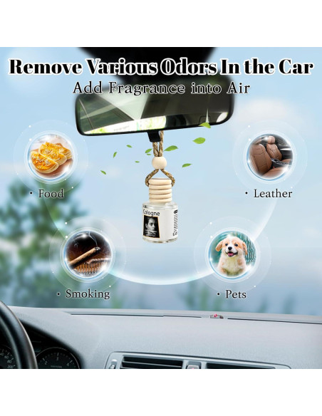 Ambientadores Colgantes Rewgey - Paquete de 4, Aceites Esenciales