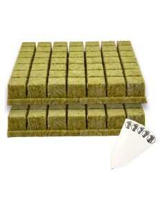 Cubos de Rockwool Grodan 1.5" La Ciudad Hidropónica - 98 Tapones