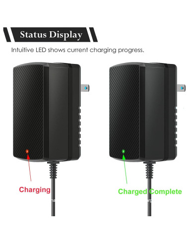 Cargador 12V para Coches Eléctricos Niños Venshun