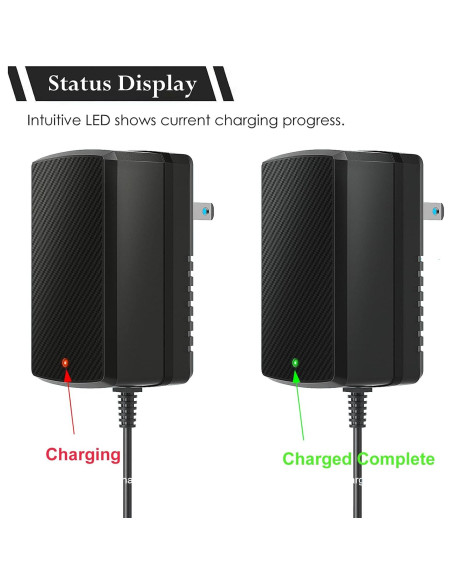 Cargador 12V para Coches Eléctricos Niños Venshun