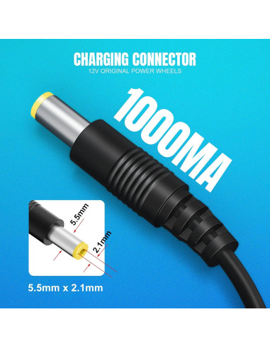 Cargador 12V para Coches Eléctricos Niños Venshun