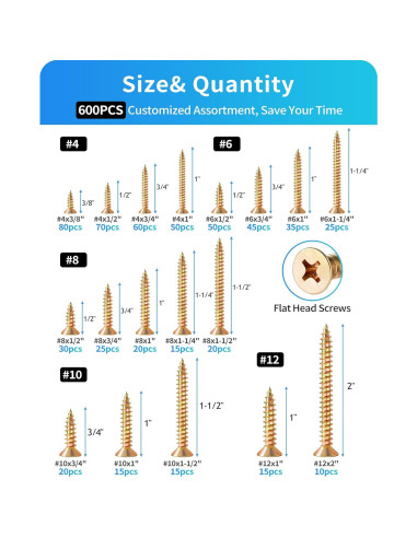 Kit de Tornillos de Madera DIVANC 600 Pcs Acero Inoxidable