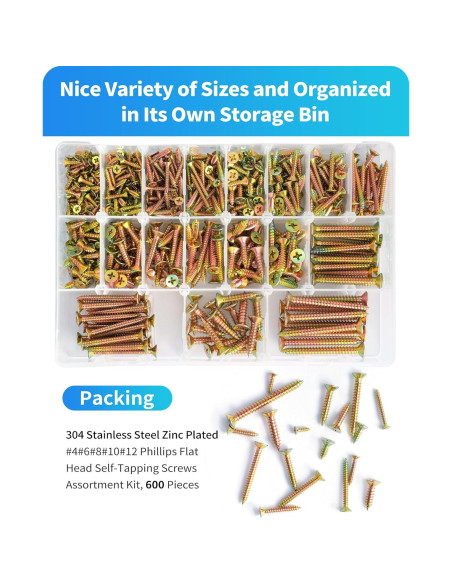 Kit de Tornillos de Madera DIVANC 600 Pcs Acero Inoxidable