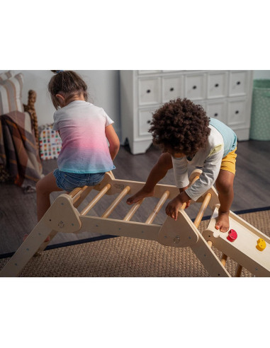 Avenlur Vicus 4 en 1 Gimnasio de Escalada de Madera para Niños