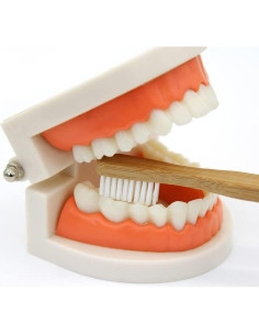 Set de Actividad Montessori de Cepillado de Dientes Kiddison 2