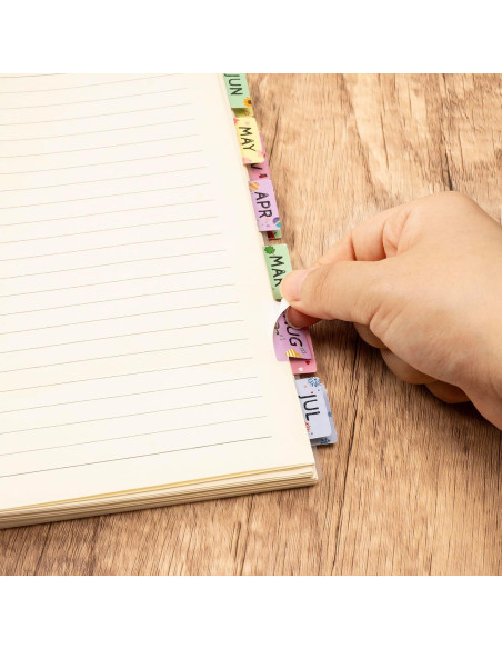 Planificador Laminado Lumintutu con 48 Etiquetas Adhesivas