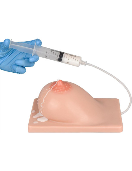 Modelo de Lactancia Izquierdo MedEduQuest Silicona 21.96x16.99cm