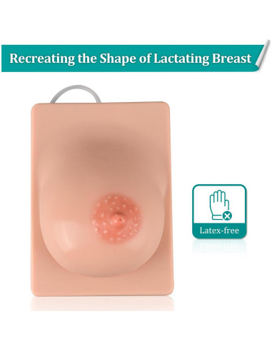 Modelo de Lactancia Izquierdo MedEduQuest Silicona 21.96x16.99cm