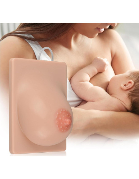 Modelo de Lactancia Izquierdo MedEduQuest Silicona 21.96x16.99cm