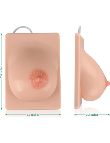 Modelo de Lactancia Izquierdo MedEduQuest Silicona 21.96x16.99cm