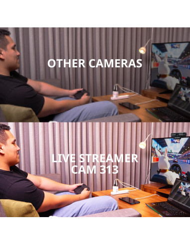 Tarjeta de Captura AVerMedia GC313Pro 1080p60 y Webcam 1080p