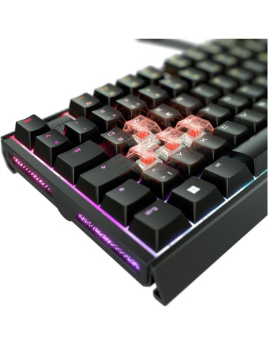 Teclado Mecánico CHERRY XTRFY MX 3.1 RGB Interruptores MX2A