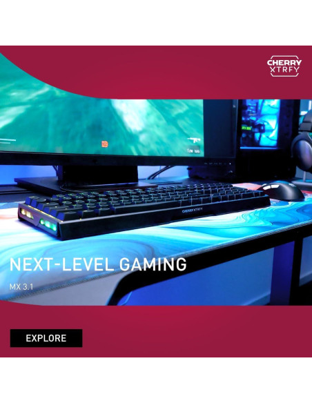 Teclado Mecánico CHERRY XTRFY MX 3.1 RGB Interruptores MX2A