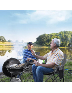 Leonyo 2 Sillas de Camping Plegables Adulto + Mesa Gris 2