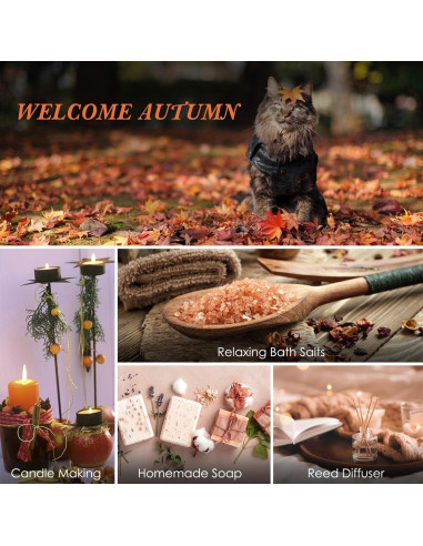 Set de Aceites Esenciales Otoño Salubrito 6x10ml Aromaterapia