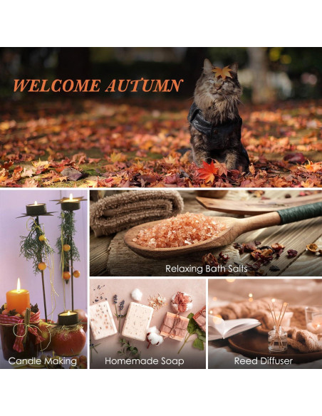 Set de Aceites Esenciales Otoño Salubrito 6x10ml Aromaterapia