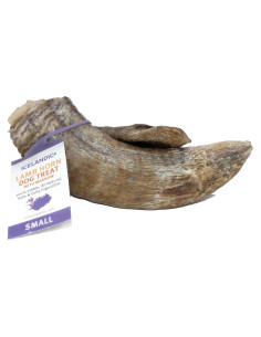 Cuerno de Cordero Islandés Pequeño con Médula 10-12 cm para Perros