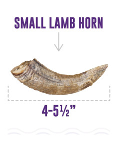 Cuerno de Cordero Islandés Pequeño con Médula 10-12 cm para Perros 2