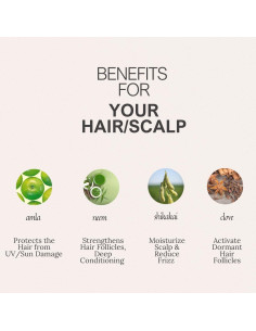 K C Tratamiento Detox Cuero Cabelludo y Acondicionador 50g 2