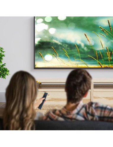 Control Remoto VINABTY 06-IRPT45 para TCL LED TV