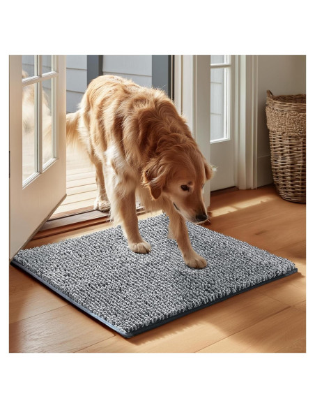 Alfombra Absorbente para Perros EHEYCIGA 61x41cm Gris