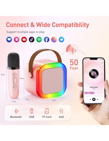 Mini Máquina de Karaoke Bluetooth Portátil con 2 Micrófonos Inalámbricos - P-Rosa