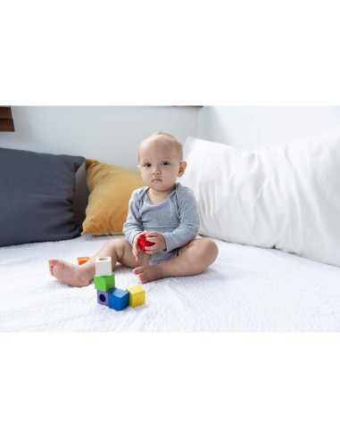 Bloques de Actividad Sensorial PlanToys - Set 9 Piezas 12+ Meses