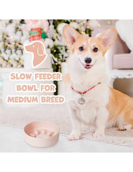 Cuenco de Alimentación Lenta YOBRO Rosa para Perros Medianos