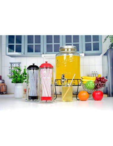 Dispensador de Pajitas de Acero Inoxidable GadgetWiz Negro