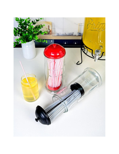 Dispensador de Pajitas de Acero Inoxidable GadgetWiz Negro