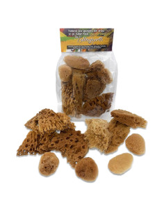 Esponjas Naturales de Mar Lullingworth 10 Piezas 5-10 cm